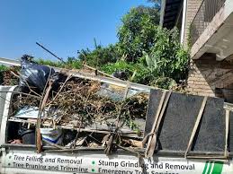 Best Shed Removal  in Weedpatch, CA